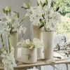 Collection Bulbes Pour Bouquets Modernes Blancs